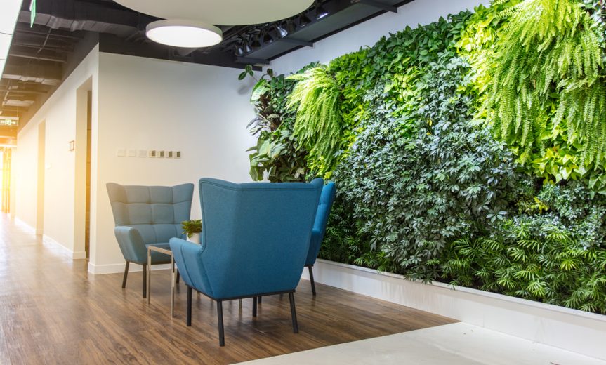 Embracing Nature: Illuminating Offices with Biophilic Design